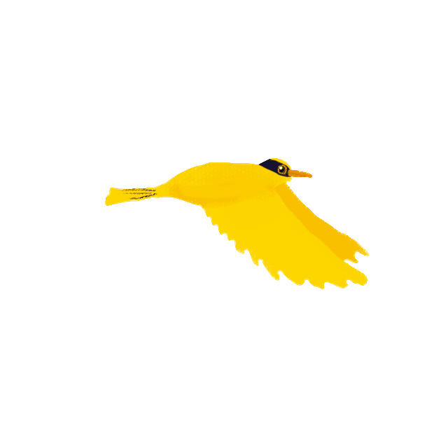 Flapping Bird
